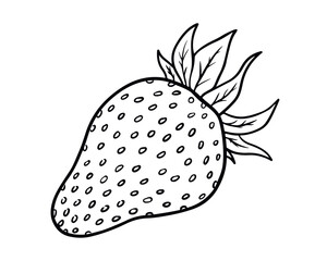 Strawberry isolated on white background. Vector illustration in doodle style