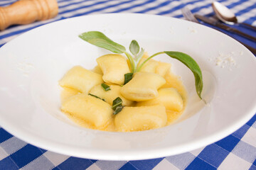 Italian Gnocchi with cheese sauce and cream. Traditional Italian recipe.