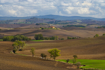 Naklejka premium Typical Tuscan landscape near Siena, Tuscany, Italy