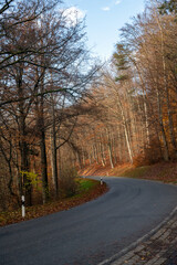 Fototapeta premium Road through an autumn forest