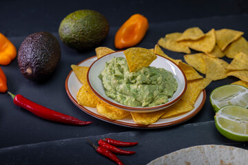 stilll life of guacamole with nachos