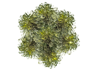 Composición de palmeras sobre fondo blanco