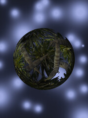 Esfera transparente con palmera en interior sobre fondo azul con luces 