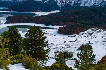 Conguillio Lake