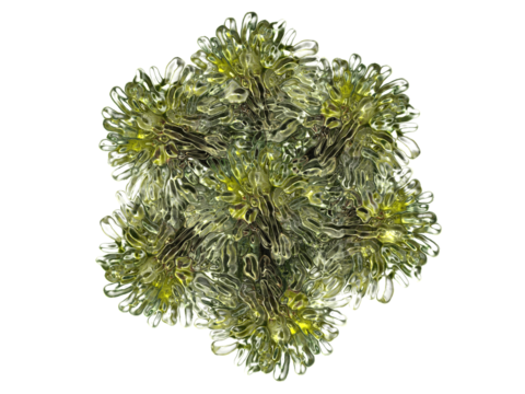 Composición de palmeras sobre fondo blanco