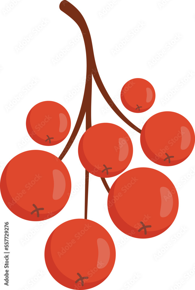 Poster rowan fall icon. flat illustration of rowan fall vector icon for web design isolated
