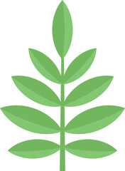 Rowan leaf icon. Flat illustration of Rowan leaf vector icon for web design isolated