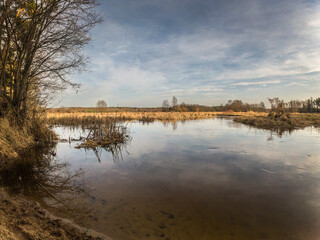 Small wild river Grabia in Poland.