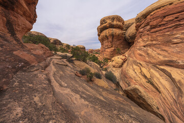 hiking the chesler park loop trail in the needles in canyonlands national park, usa
