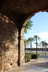 Palma de Mallorca and its infrastructures