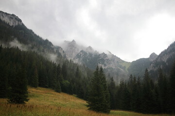 Fototapeta na wymiar mountainous landscape with clouds and fog