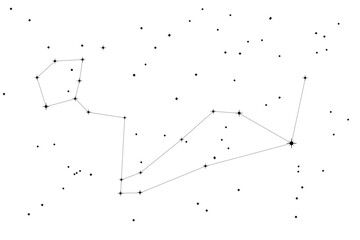 Simple astronomical illustration of the constellation Cetus (the sea monster). Transparent PNG design element for websites, print and other graphics. © Irwin Seidman