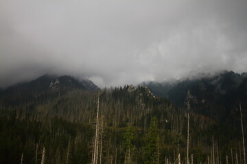 cloudy day in the mountains