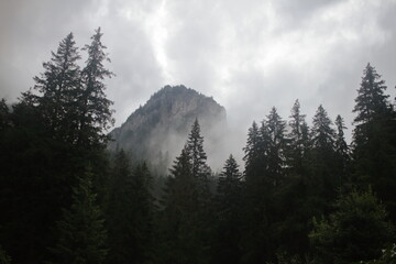 fog in the mountains