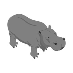 Isometric Hippo Illustration