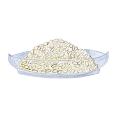 Pabi. Korean rice porridge. Vegetarian national dish. East Asian cuisine. Menu design.