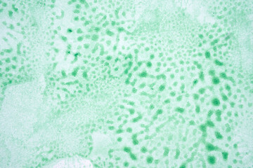 Watercolor grass texture background. Green abstract landscape gradient. Batik graphic. Fall color painting. Design illustration brush stroke. Aquarelle art backdrop