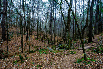 High Falls State Park, GA