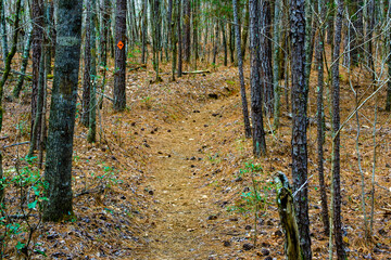 High Falls State Park, GA