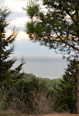 Fototapeta na wymiar Cap Caxine lighthouse seen from the Bainem forest in Hammamet, Algiers. Aerial view through the tree leaves with a cloudy sky in golden hour morning sunrise. Calm mediterranean sea and blurred horizon