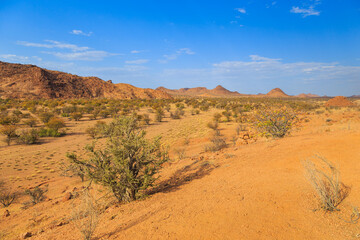 Namibian landscape Damaraland, homelands in South West Africa, Namibia.