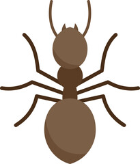 Ant icon. Flat illustration of Ant vector icon for web design isolated