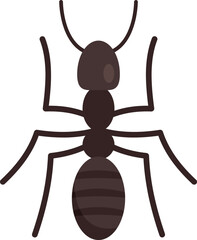 Soldier ant icon. Flat illustration of Soldier ant vector icon for web design isolated