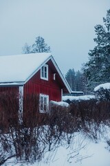 Red house in winter landscape