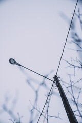 Old lantern in snowy landscape