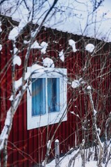Snowy house with branches in front