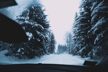 Winter forest landscape through car window