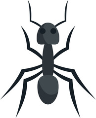 Fauna ant icon. Flat illustration of Fauna ant vector icon for web design isolated