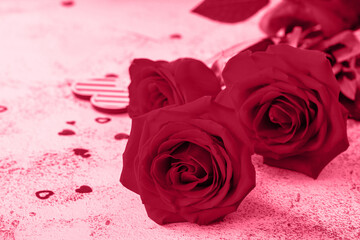 Valentine's Day Concept. Red roses and heart decor. Top view flat lay. Trendy color of year 2023 - Viva Magenta.
