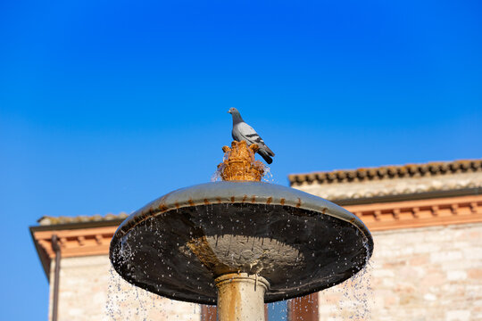 Fontana dei Tre Leoni, a historic fountain in the Piazza del Comune Corso and Giuseppe Mazzini in the town of Assisi in the city of Assisi in Perugia Italy