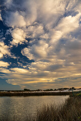 clouds over pond