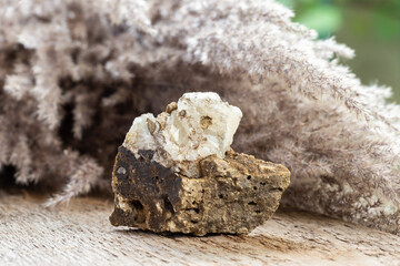 Raw White Aragonite Crystal Mineral Stone on Wood