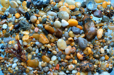 Multi-colored small sea stones on the seashore.