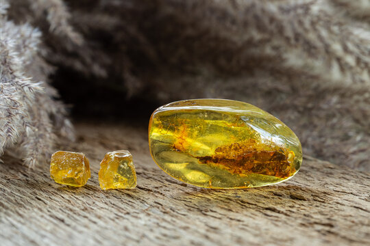 Copal with Rosin Amber Mineralized Stones on Wood