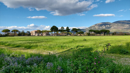 Spring countryside landscape