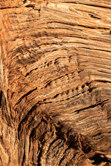 wood texture