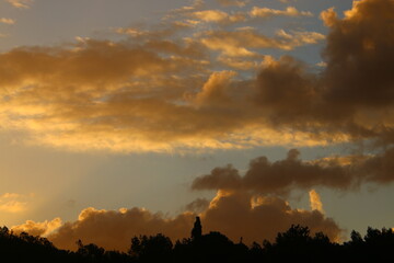 Rain clouds in the sky above the forest.