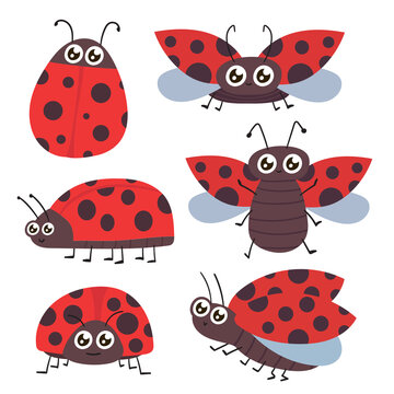 Naklejka Cartoon ladybug. Cute ladybugs, red bug and insects illustration set. Funny lady bugs. Dotted flying beetle stickers collection on white background