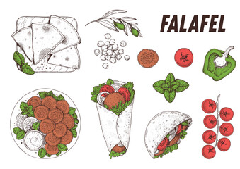 Falafel cooking and ingredients for falafel, sketch illustration. Middle eastern cuisine. Street food, design elements. Hand drawn, menu and package design. Vegan food