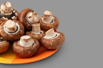 Mushrooms on gray. Mushrooms in a plate isolated on gray