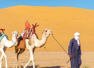 Unrecognizable local tuareg man wearing traditional clothes walking with two white dromedary camels...