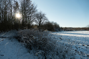 Winterlandschaft