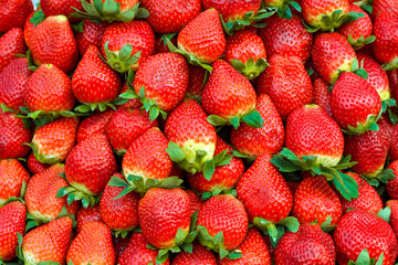 Close-up of strawberries. Strawberry background. Food photo.