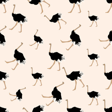 Cartoon Ostrich Bird Seamless Pattern in Flat Style. Vector illustration of African Exotic Animal. vector illustration