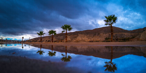 Colorado River Landscape Series at Bullhead Community Park with dramatic cloudscape, palm trees,...