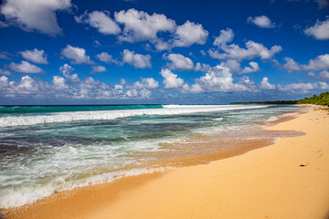 Fototapeta na wymiar caribbean waves and beach in guadalupe